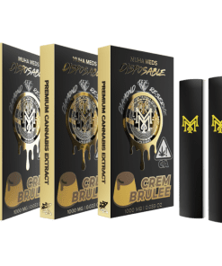 CREM BRULEE | HYBRID