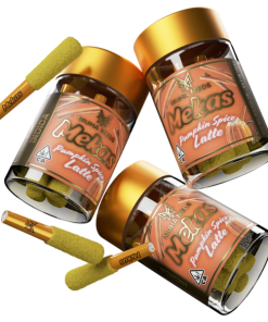 PUMPKIN SPICE LATTE | HYBRID