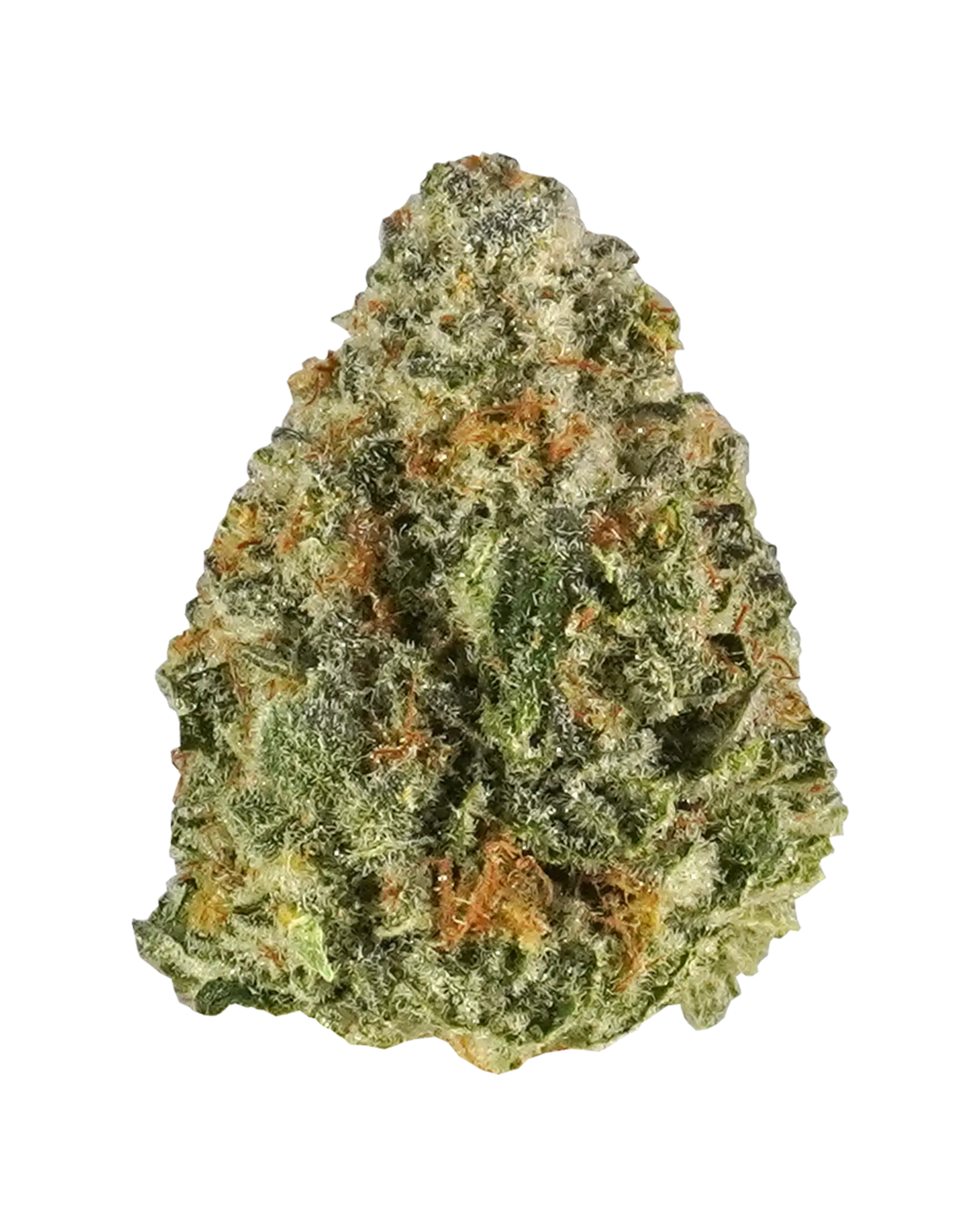 Tropicana-Trap-flower-PG-FL-P-99_01.webp